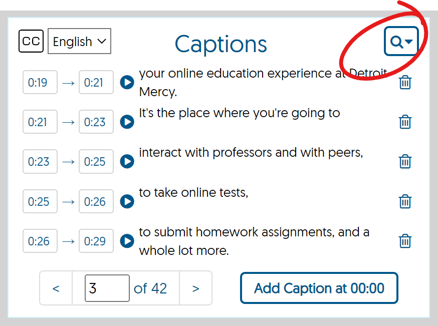 caption editor, find and replace button highlighted