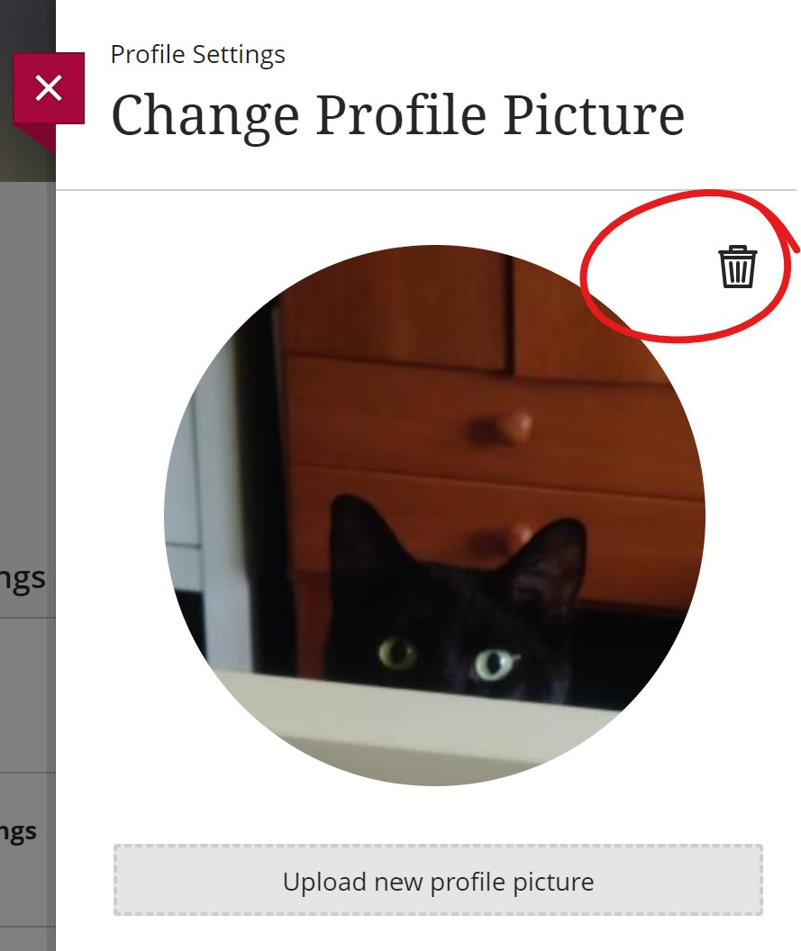 Image of profile trash button