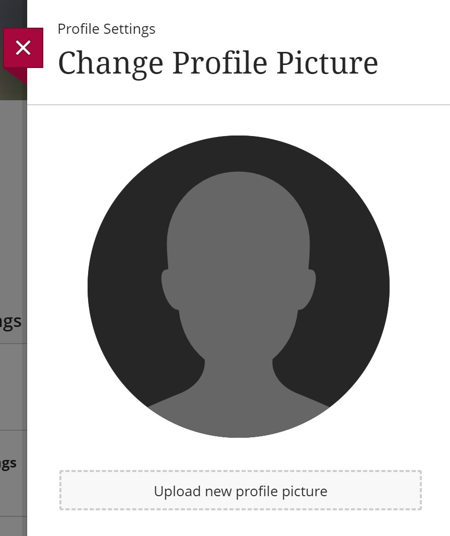 Profile image upload button