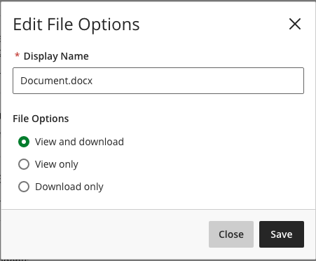 Edit file options popout window