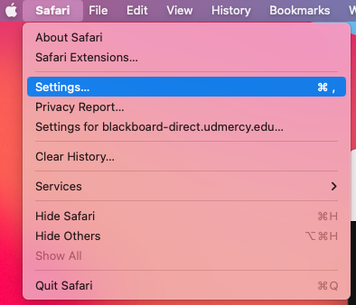 screencap of safari menu with settings highlighted