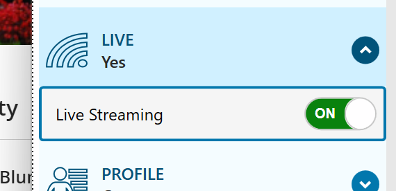 Live streaming toggle set to on