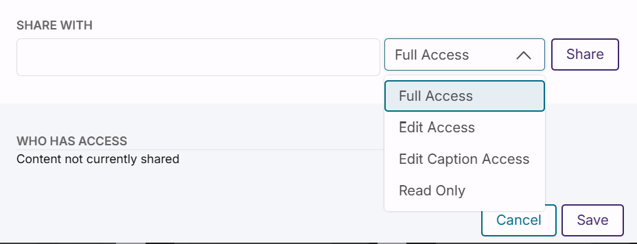 share options panel, with access type selection list opened showing the options described on this page