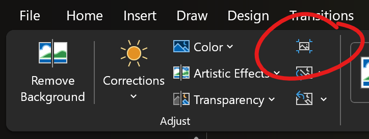 Adjust panel with Compress Pictures icon selected