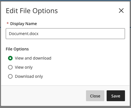 Edit file options popout window