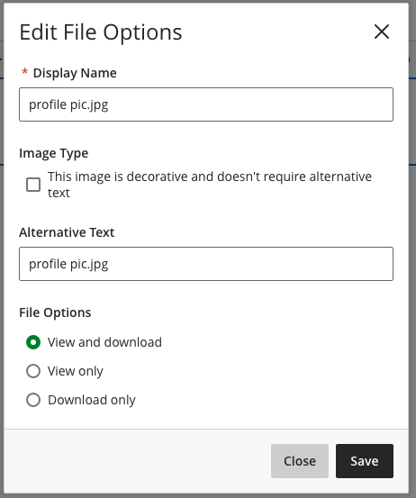 Edit file options (image) popout window