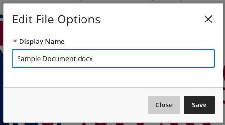 edit file options (document) popout window