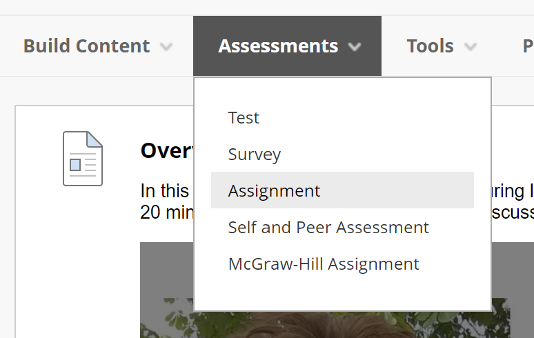 assessments menu with Assignment highlighted