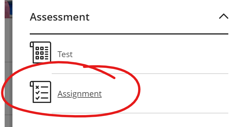 Assignment menu option