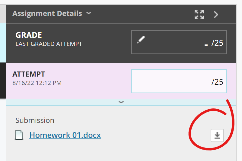 Assignment Details download button highlighted