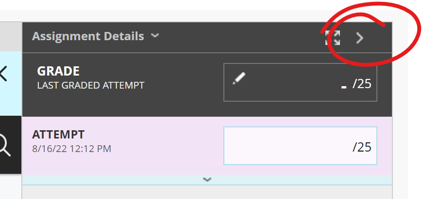 top of assignment details panel, arrow highlighted