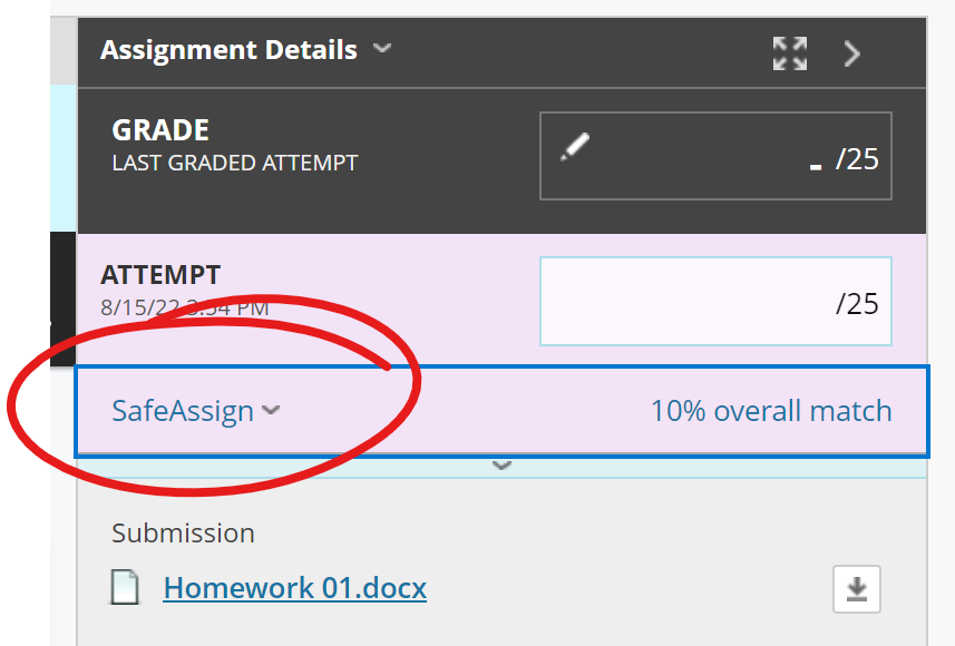 Assignment Details box, SafeAssign highlighted