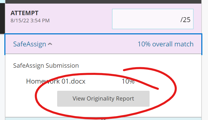 SafeAssign Submission box, View Originality Report button highlighted