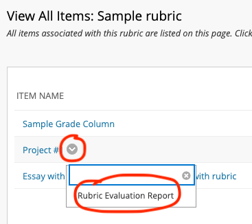 Rubric evaluation report button