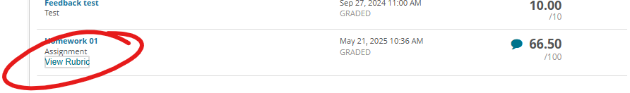 row from Grades page, View Rubric circled in red