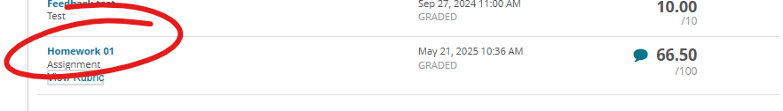 Item from Grades page, title of assessment (Homework 01) circled