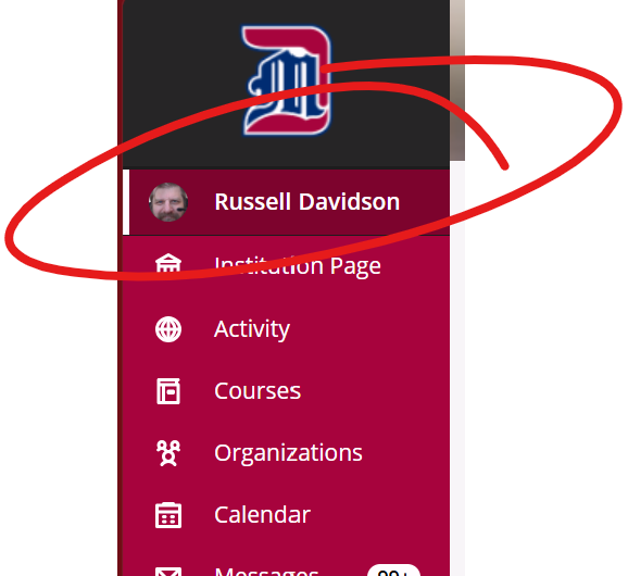 Top of red menu on left of Bb home page, name circled.