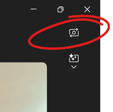 camera switch button