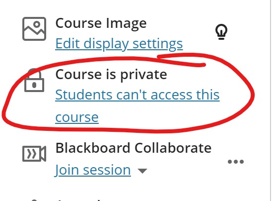 Students can't access this course link selection