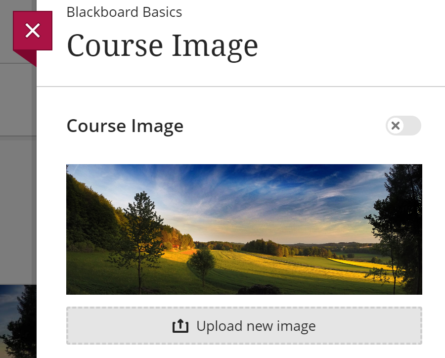 Course Image panel