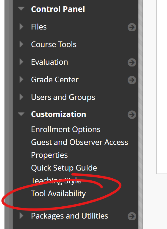 Control panel section of course, customization menu expanded, tool availability highlighted