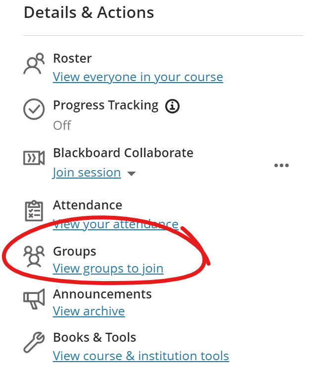 Student view of Details and Actions, Groups highlighted