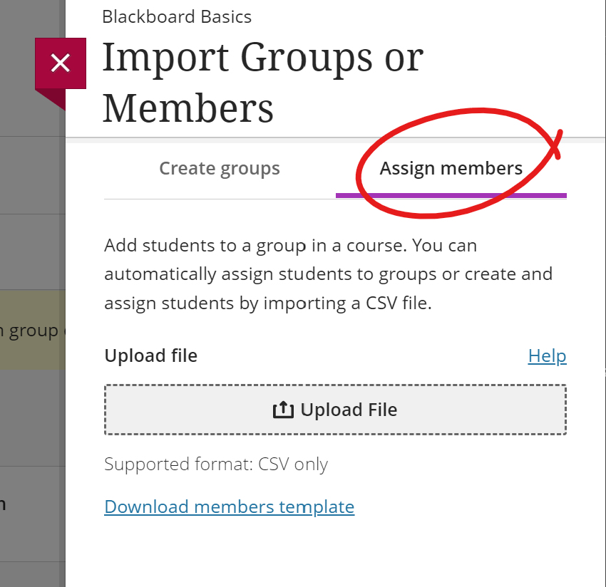 Import groups or members panel, assign members button selected.