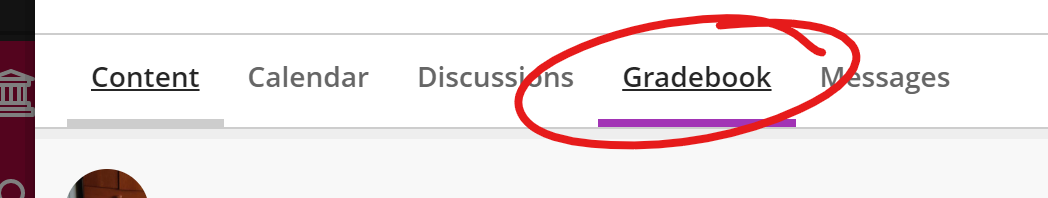 Course top menu, gradebook item highlighted