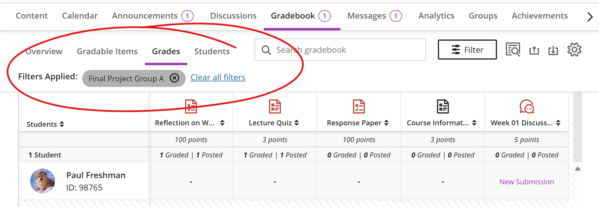 top of gradebook with Applied Filters line circled in red