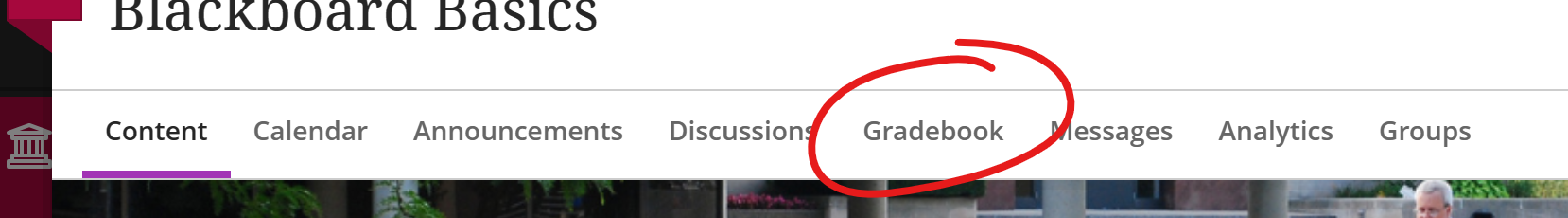 tabs at top of course, gradebook circled