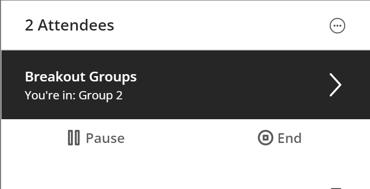 top of attendees list with breakout groups active; pause and end buttons on display