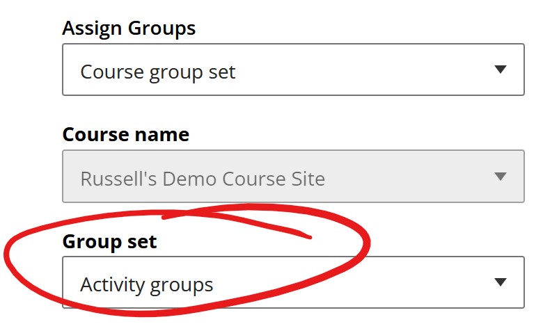 course group set option