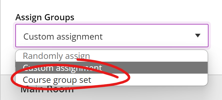 assign groups list, course group set option highlighted