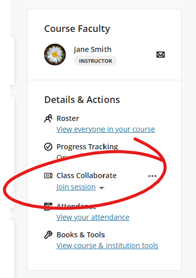 Detail and Actions panel, Collaborate circled.