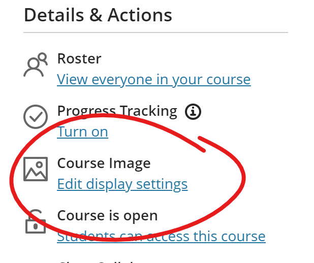 Top of Details & Actions list, Course Image, "Edit display settings" link circled in red.